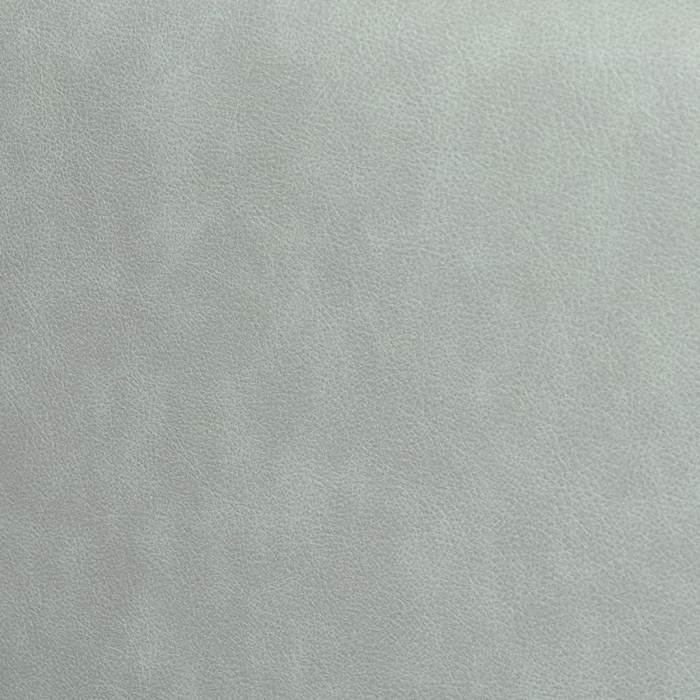 image:imageArmen Living Franz Modern Sky Blue Leather SofaMint
