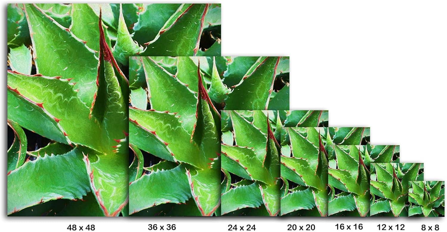 image:imageArmen Living Aloe Vera II Square Wrapped Canvas Wall Art Print 24 x 2448 x 48
