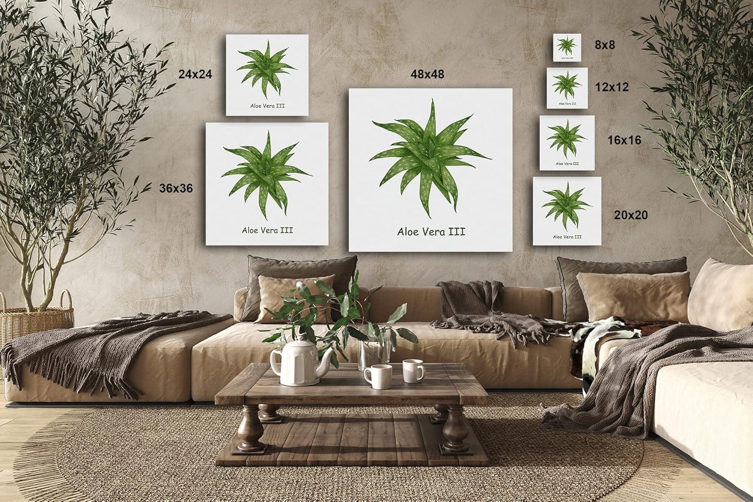 image:imageArmen Living Cacti Collection Square Wrapped Canvas Wall Art Print 48 x 4816 x 16