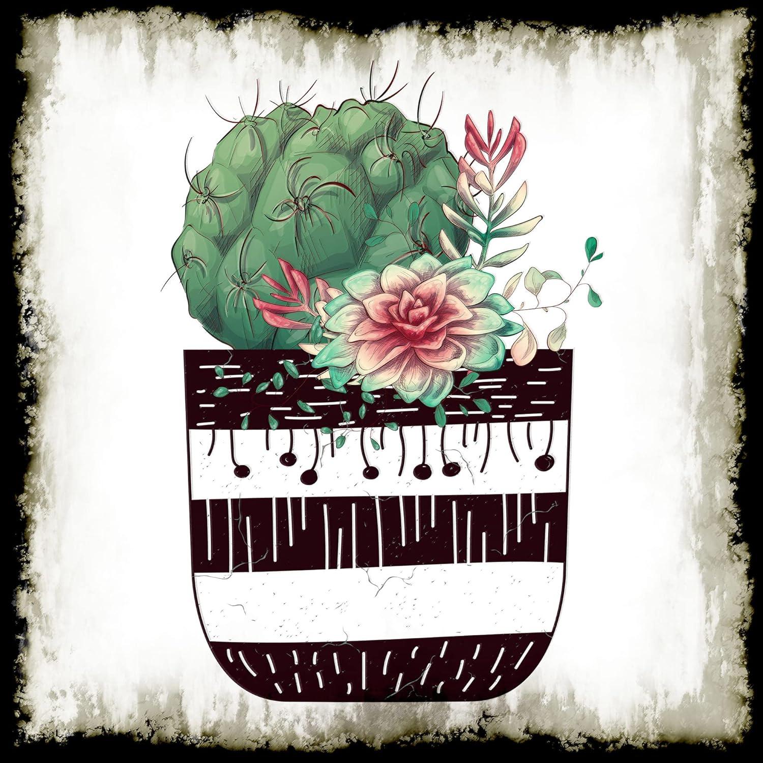 image:imageArmen Living Cereus Aeonium Square Wrapped Canvas Wall Art Print 8 x 848 x 48