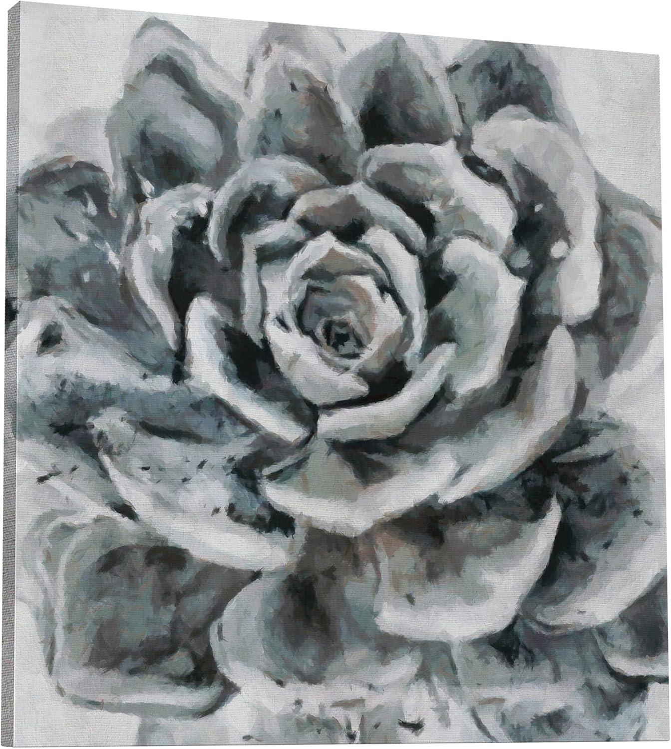 image:imageArmen Living Echeveria Hookeri I Square Wrapped Canvas Wall Art Print 8 x 816 x 16