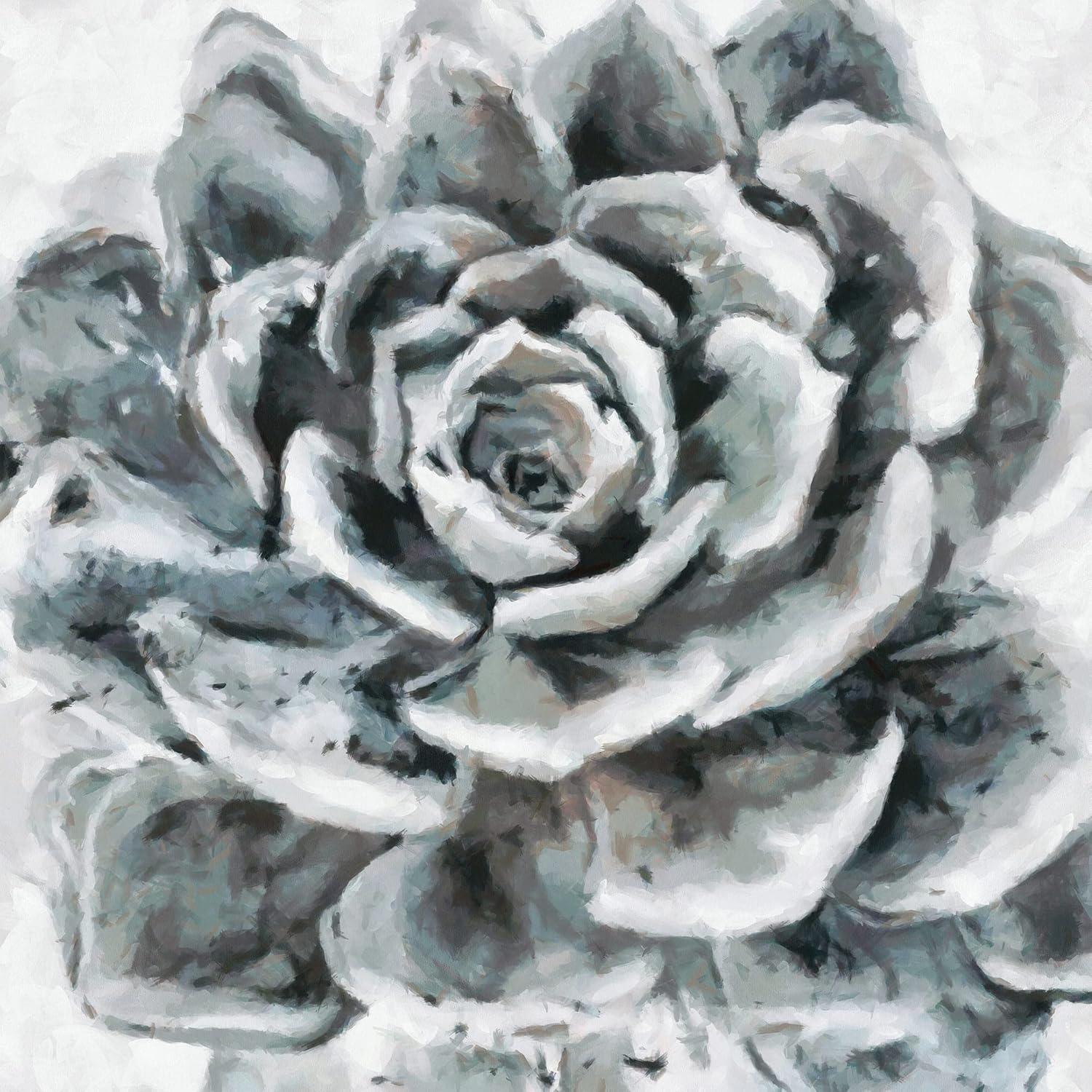 image:imageArmen Living Echeveria Hookeri I Square Wrapped Canvas Wall Art Print 8 x 816 x 16