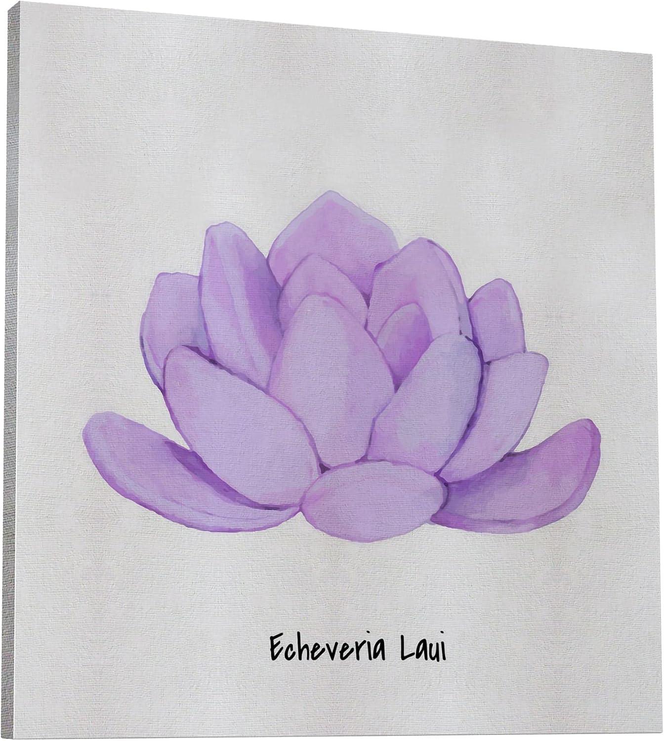 image:imageArmen Living Echeveria Spruce Oliver Square Wrapped Canvas Wall Art Print 12 x 1224 x 24