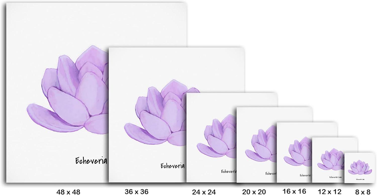 image:imageArmen Living Echeveria Spruce Oliver Square Wrapped Canvas Wall Art Print 12 x 128 x 8