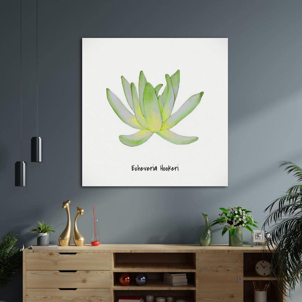 image:imageArmen Living Echeveria Nova II Square Wrapped Canvas Wall Art Print 8 x 88 x 8