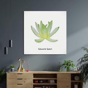 Armen Living Echeveria Nova II – Square Wrapped Canvas Wall Art Print 8 x 8(12 x 12)