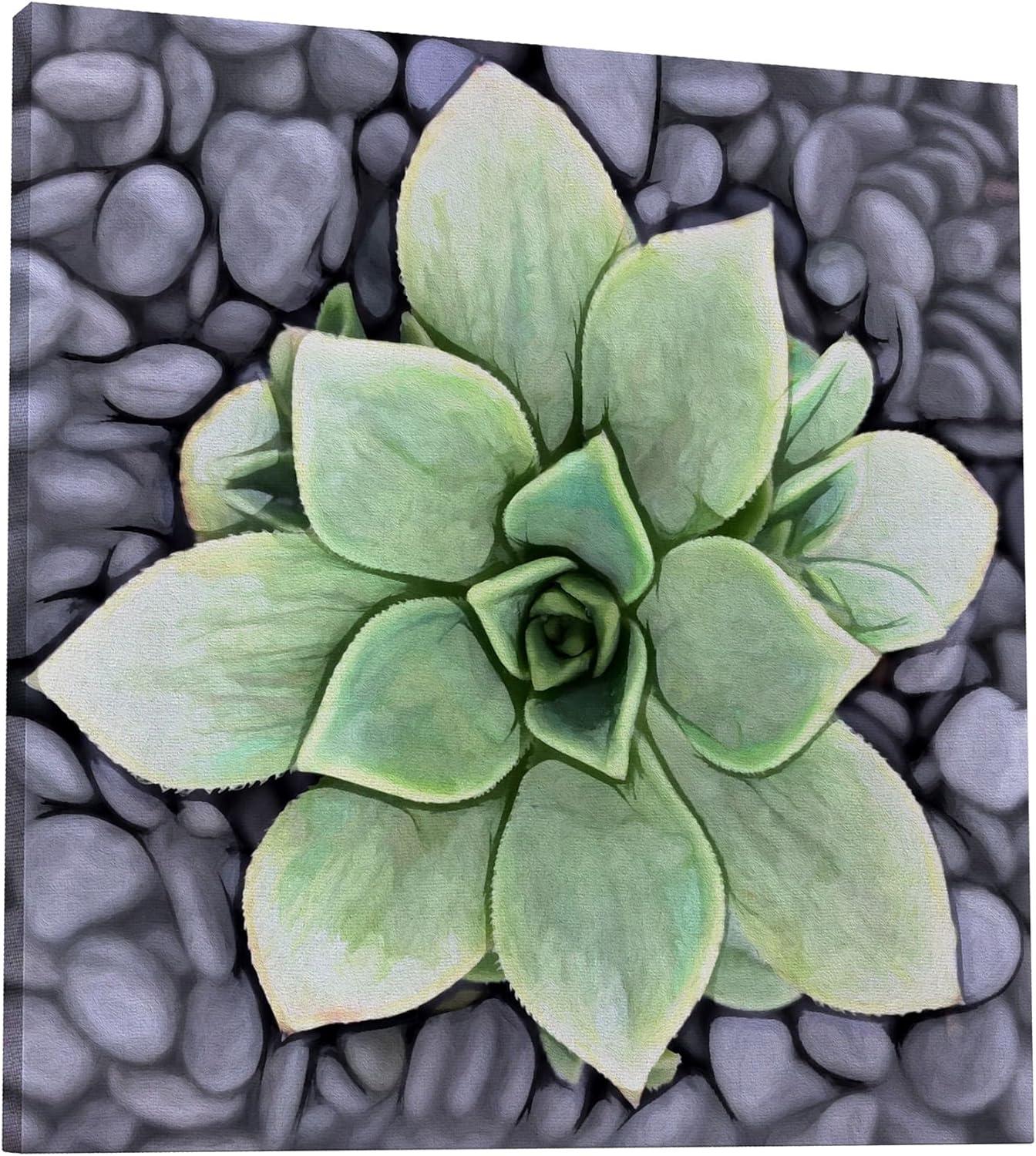 image:imageArmen Living Aeonium Haworthii Pinwheel Square Wrapped Canvas Wall Art Print 12 x 1216 x 16