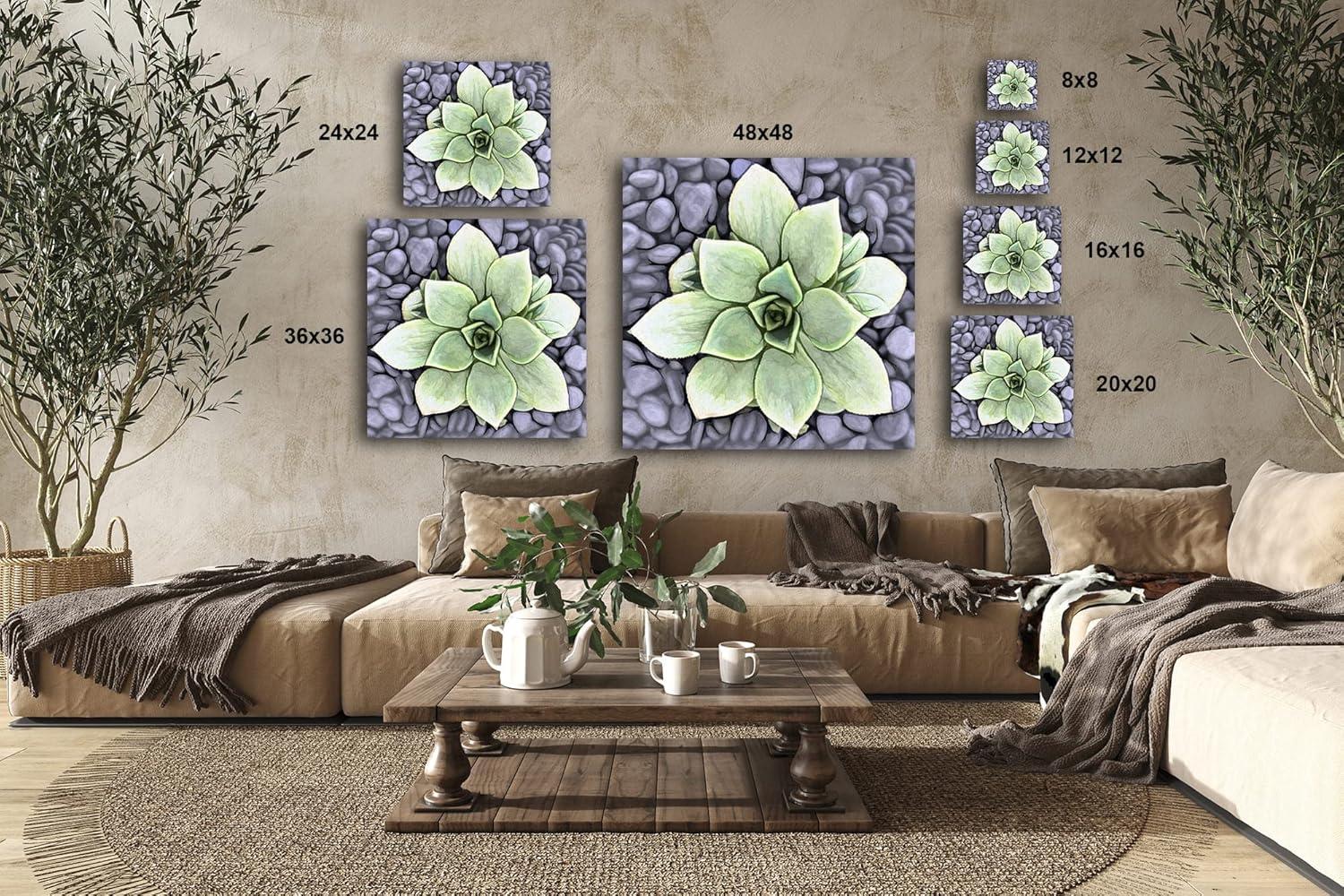 image:imageArmen Living Aeonium Haworthii Pinwheel Square Wrapped Canvas Wall Art Print 12 x 128 x 8