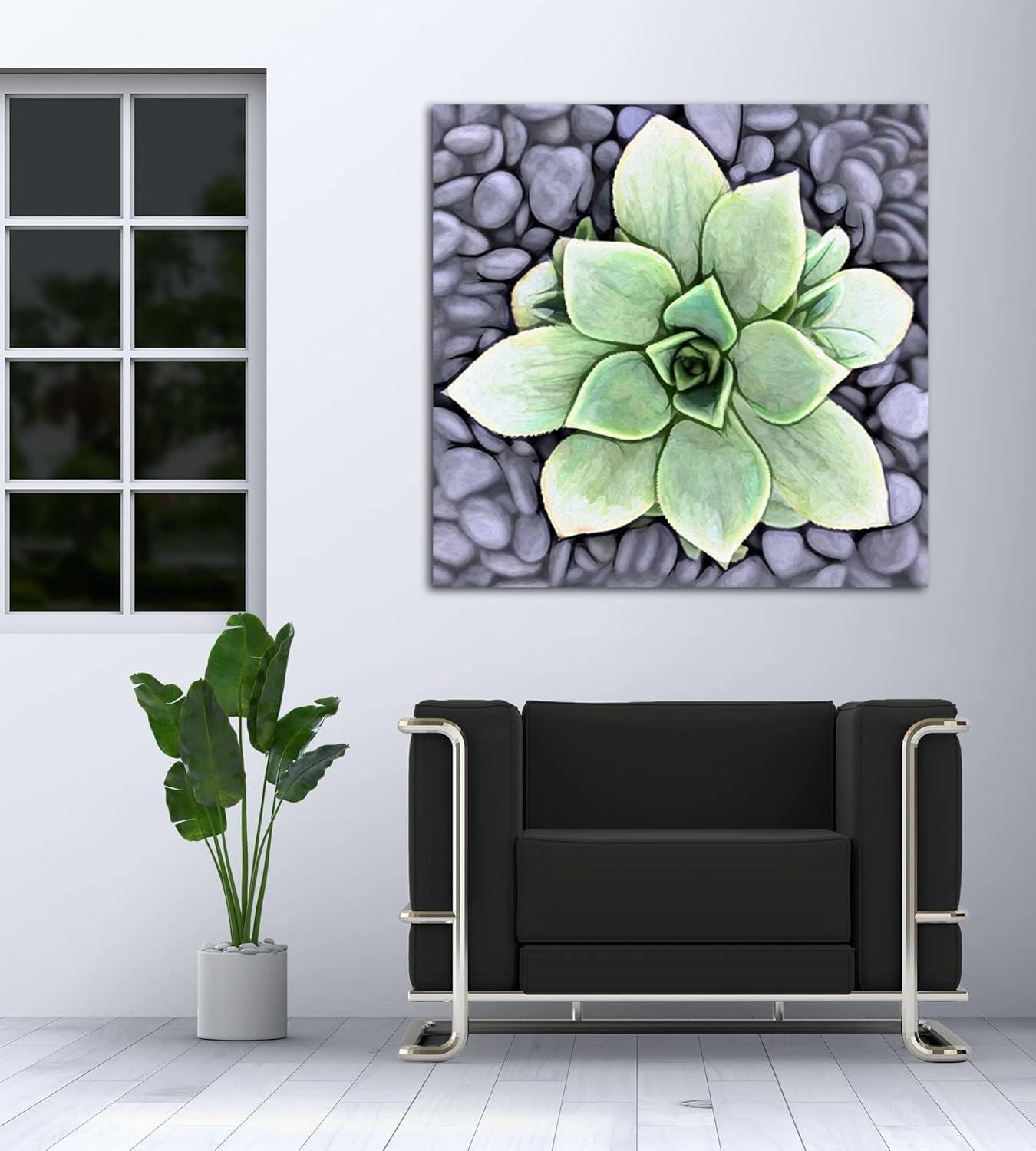 image:imageArmen Living Aeonium Haworthii Pinwheel Square Wrapped Canvas Wall Art Print 12 x 128 x 8
