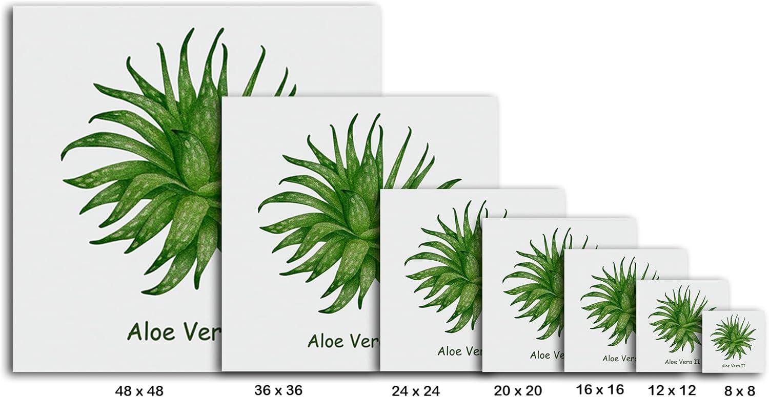 image:imageArmen Living Cacti and Succulents 41 Square Wrapped Canvas Wall Art Print 24 x 248 x 8