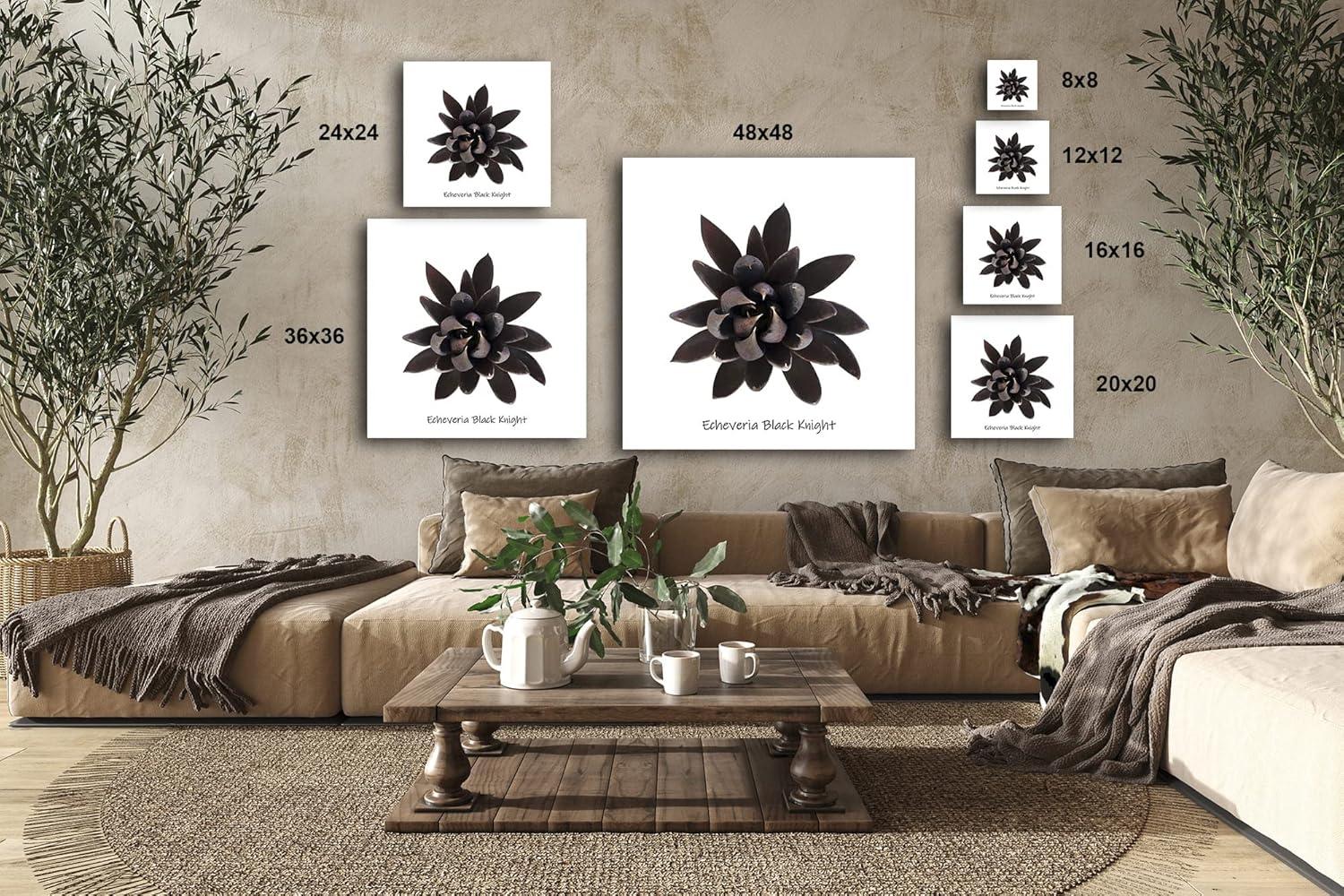 image:imageArmen Living Echeveria Moranii Square Wrapped Canvas Wall Art Print 36 x 368 x 8