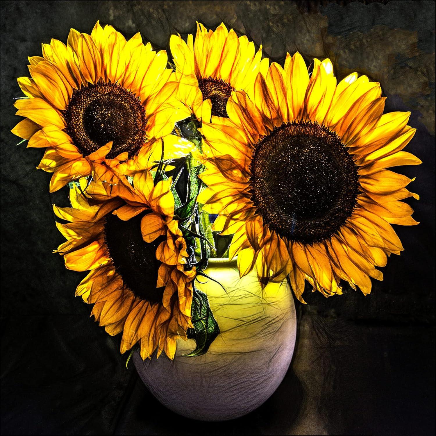 image:imageArmen Living Sunflower Glow I Square Wrapped Canvas Wall Art Print 24 x 2436x36