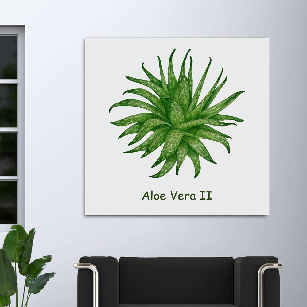 image:imageArmen Living Cacti and Succulents 41  Square Wrapped Canvas Wall Art Print 24 x 2436 x 36