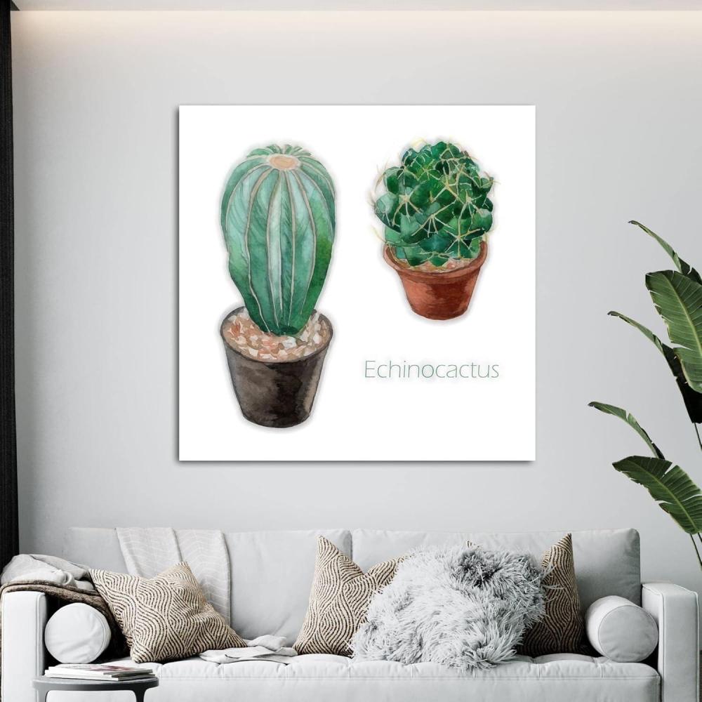 image:imageArmen Living Haworthia Rufescens I  Square Wrapped Canvas Wall Art Print 16 x 1636 x 36